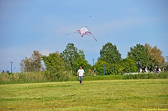 Venice kite festival_0606